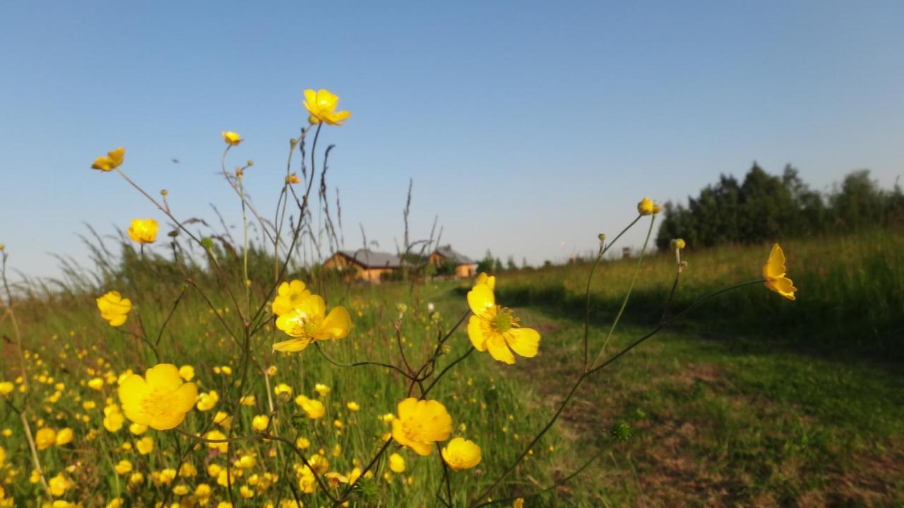Gaski Na Fali Bagian luar foto
